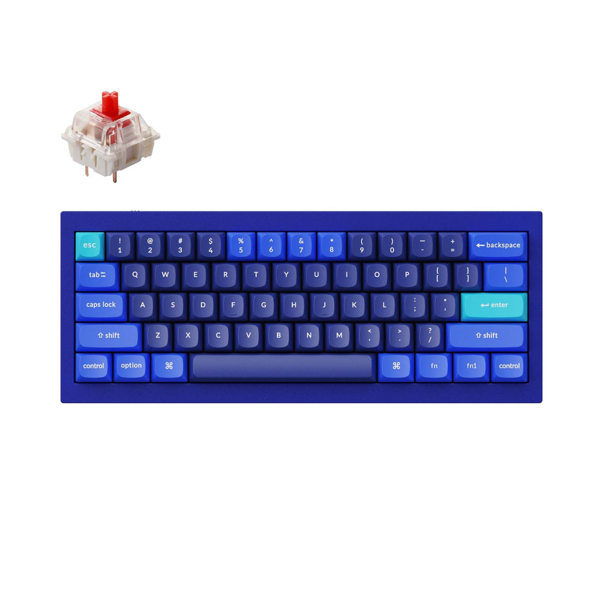 Keychron Q4 QMK カスタム メカニカル キーボード(US ANSI 配列)