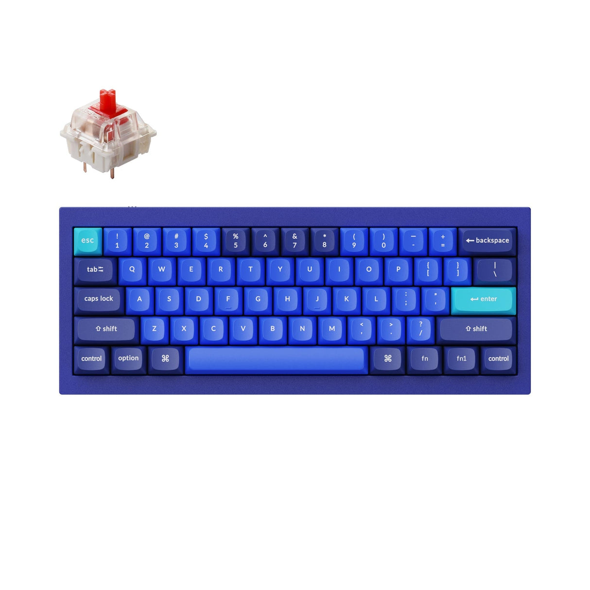 Keychron Q4 QMK カスタム メカニカル キーボード(US ANSI 配列)