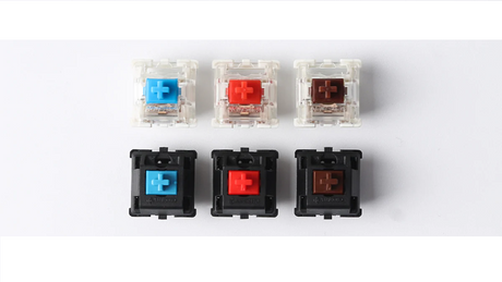 Cherry VS Gateron、どちらのスイッチを選べばいいのか？