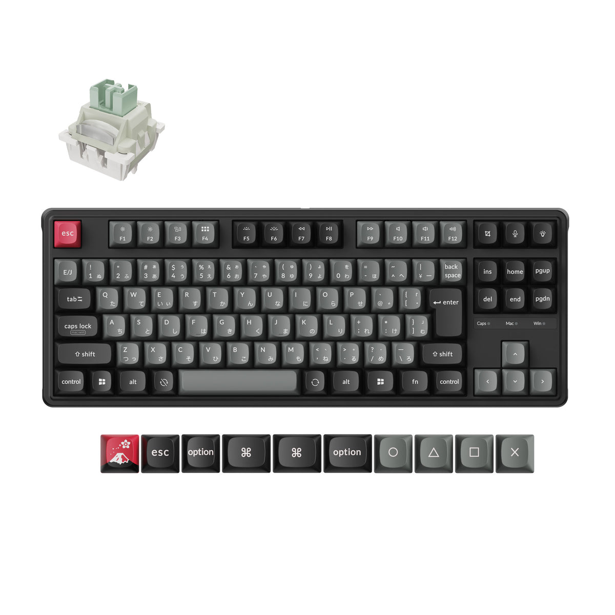 Keychron C3 HE Wired Magnetic Switch Keyboard(JIS Layout)