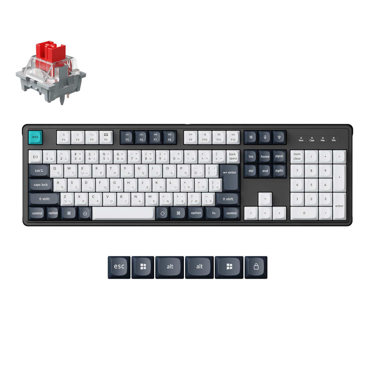 Keychron C4 Pro 有線接続メカニカルキーボード 日本語配列