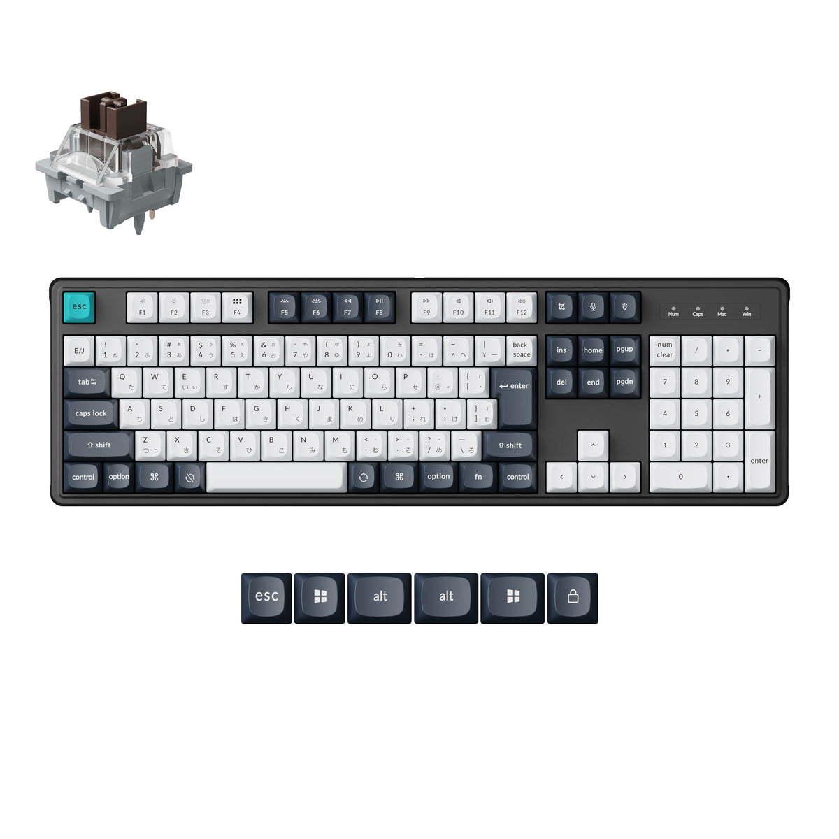 Keychron C4 Pro 有線接続メカニカルキーボード 日本語配列
