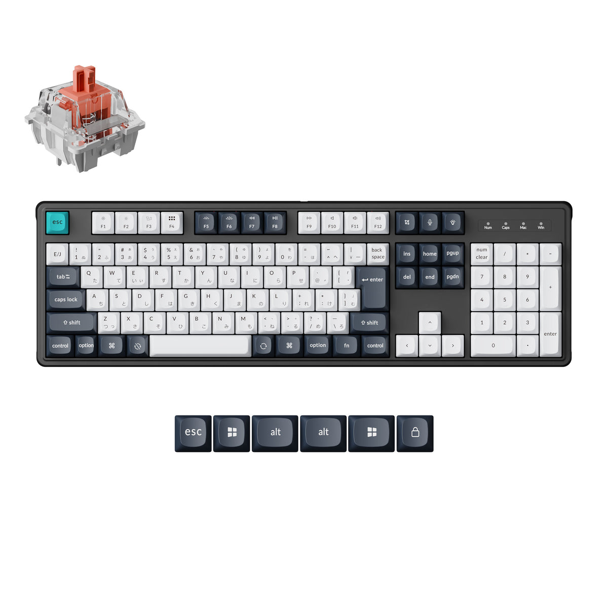 Keychron C4 Pro 有線接続メカニカルキーボード 日本語配列