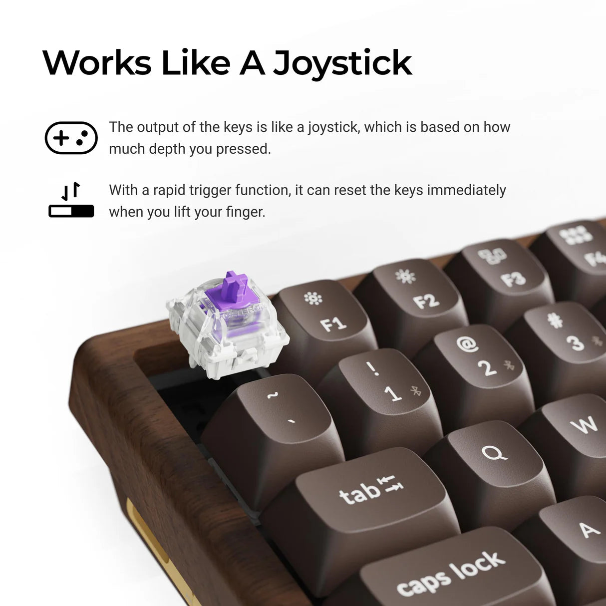 Keychron K2 HE 無線磁気スイッチカスタムキーボード  オールウッド スペシャルエディション