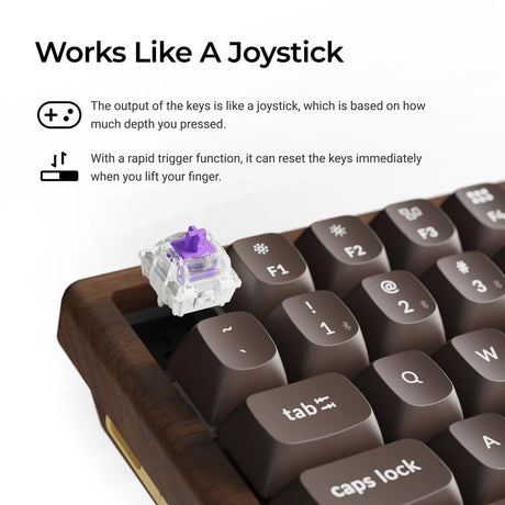 Keychron K2 HE 無線磁気スイッチカスタムキーボード  オールウッド スペシャルエディション