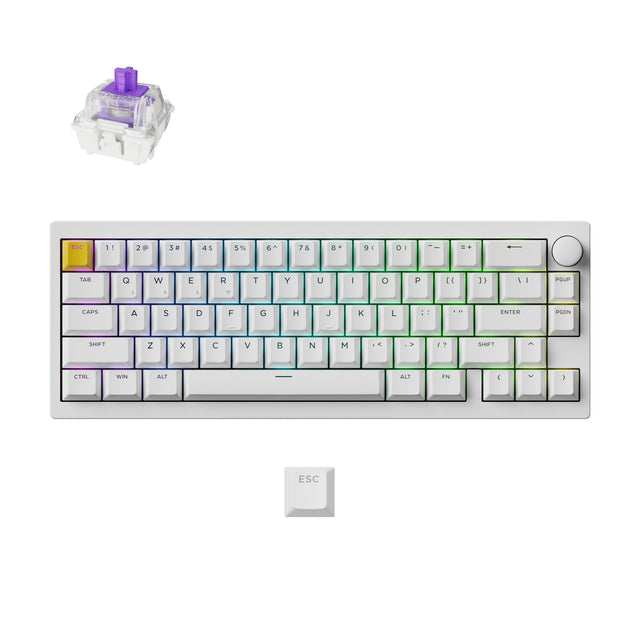 Lemokey P2 HE 磁気スイッチ ワイヤレスカスタムゲーミングキーボード (US ANSI Layout)