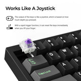 Lemokey P2 HE 磁気スイッチ ワイヤレスカスタムゲーミングキーボード (US ANSI Layout)