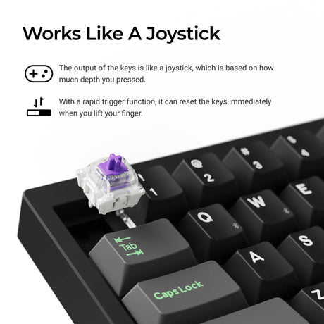 Lemokey P2 HE 磁気スイッチ ワイヤレスカスタムゲーミングキーボード (US ANSI Layout)