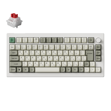 Keychron C75 TMR 8K マグネットスイッチ搭載 有線カスタムメカニカルキーボード